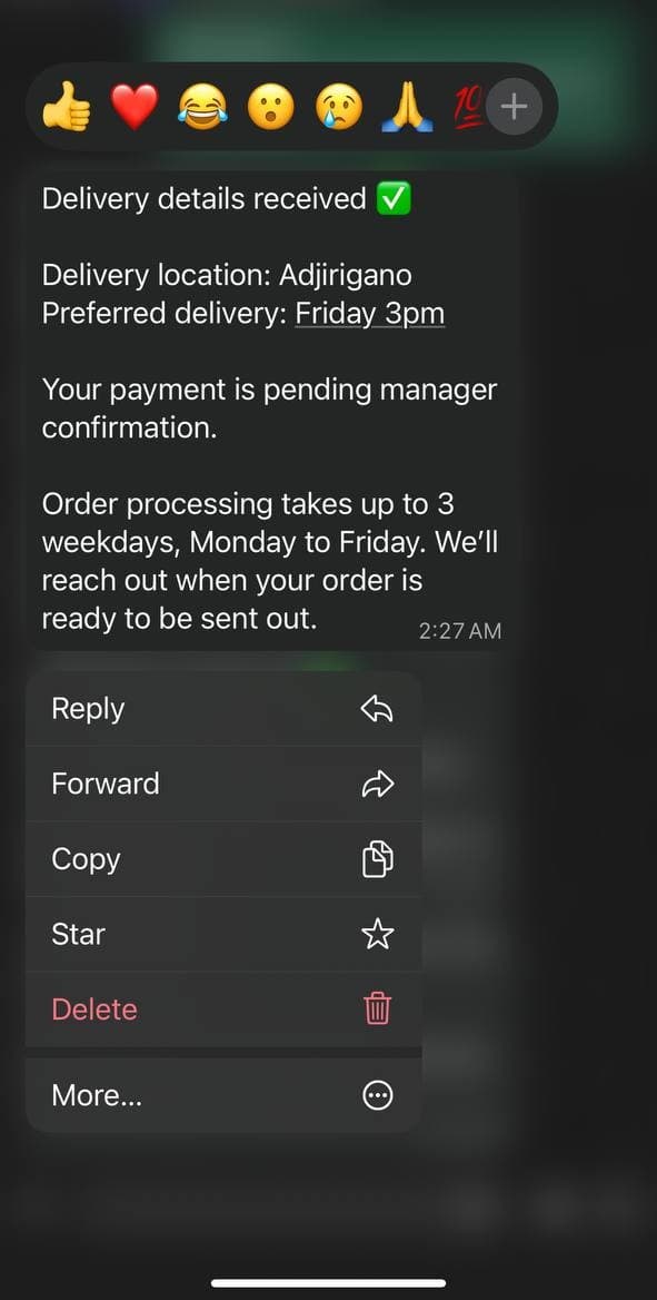 A customer receives a clear delivery-details update through BinLeads